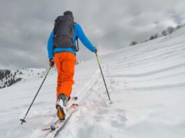 meilleur ski de randonnée